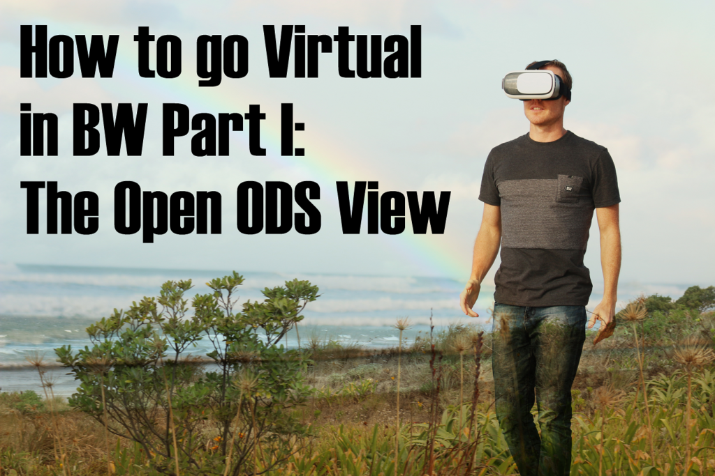 How to go Virtual in BW Part I: The Open ODS View